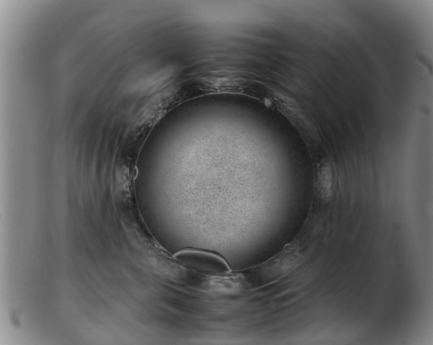 X0000103410571200809191548