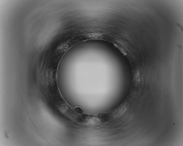 X0000103410572200809191548