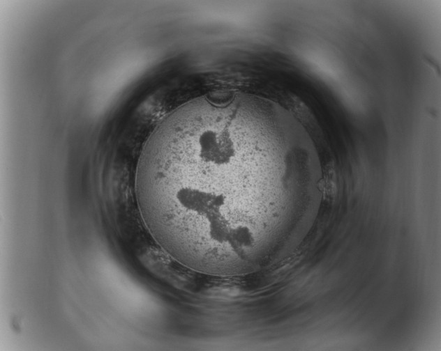 X0000103410573200809191548