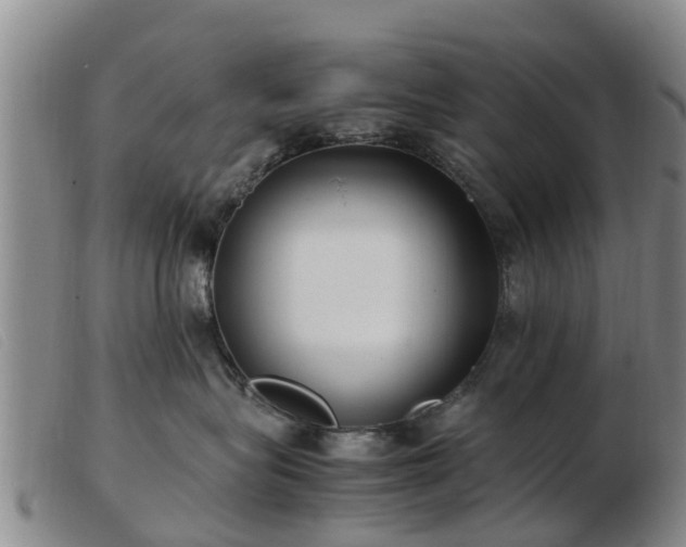 X0000103410575200809191548