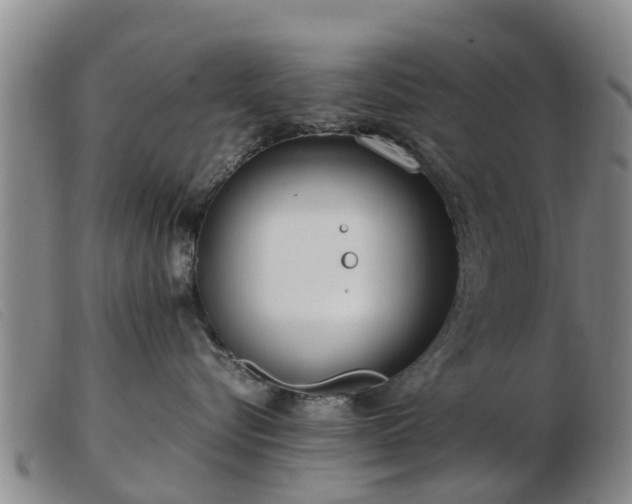 X0000103410576200809191548