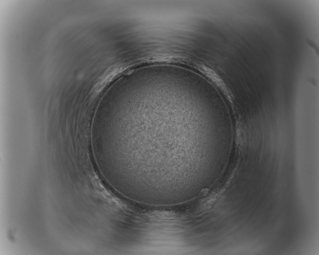 X0000103410577200809191547