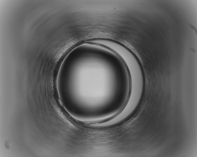 X0000103410581200809191547