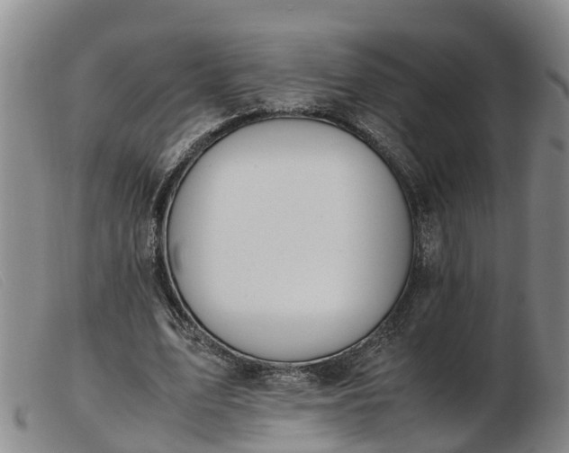 X0000103410583200809191547