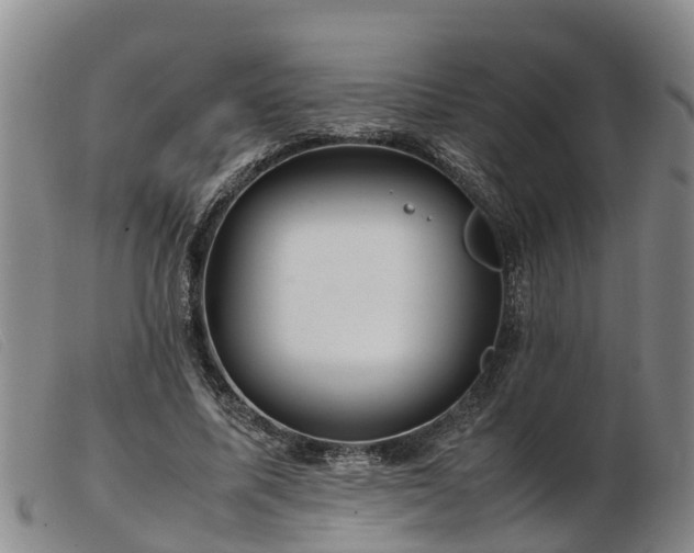 X0000103410587200809191547