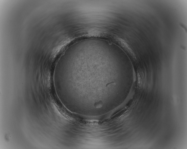 X0000103410588200809191547