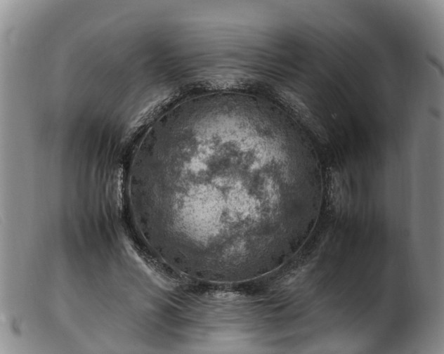 X0000103410590200809191547