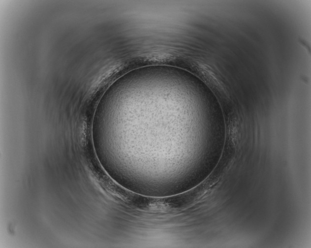 X0000103410591200809191547