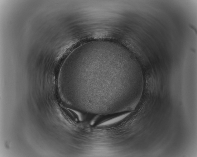 X0000103410592200809191547