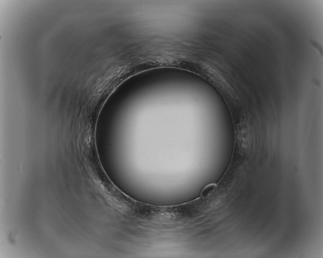 X0000103410593200809191547