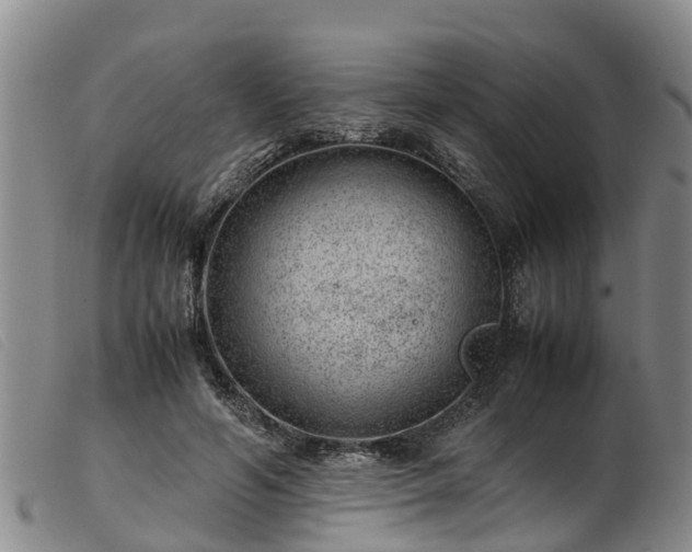 X0000103410594200809191547