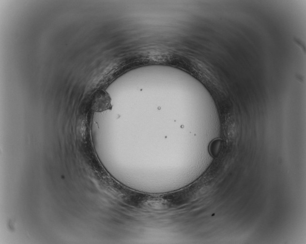 X0000103410595200809191547