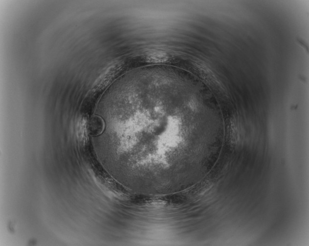 X0000103410598200809191547