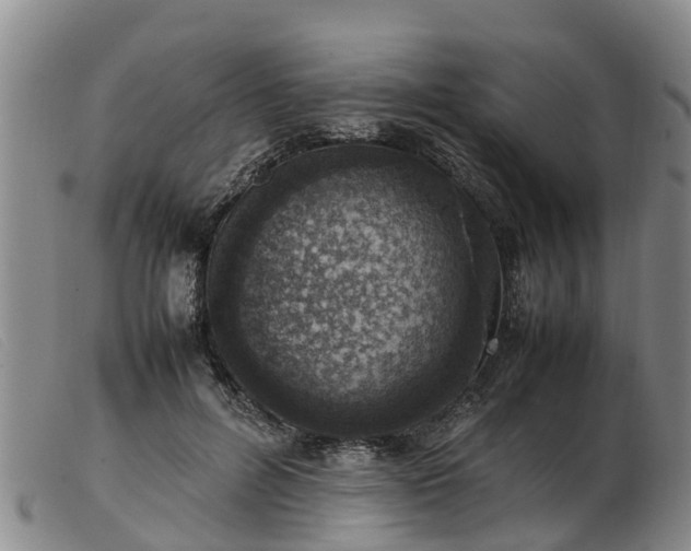 X0000103410600200809191547