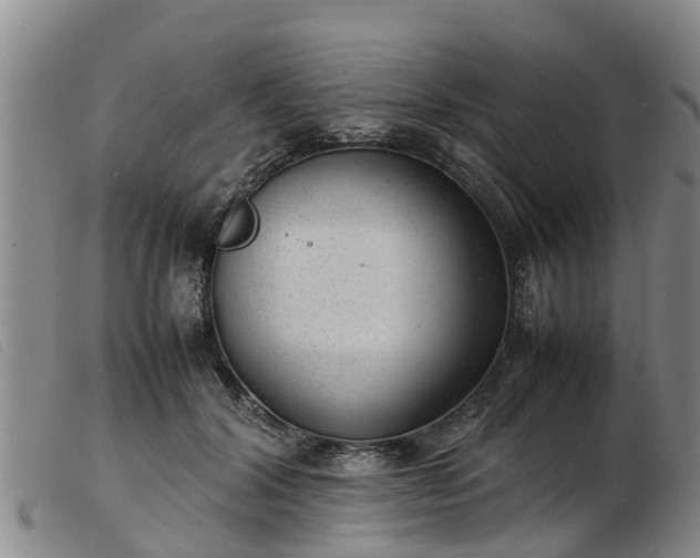 X0000103410604200809191547