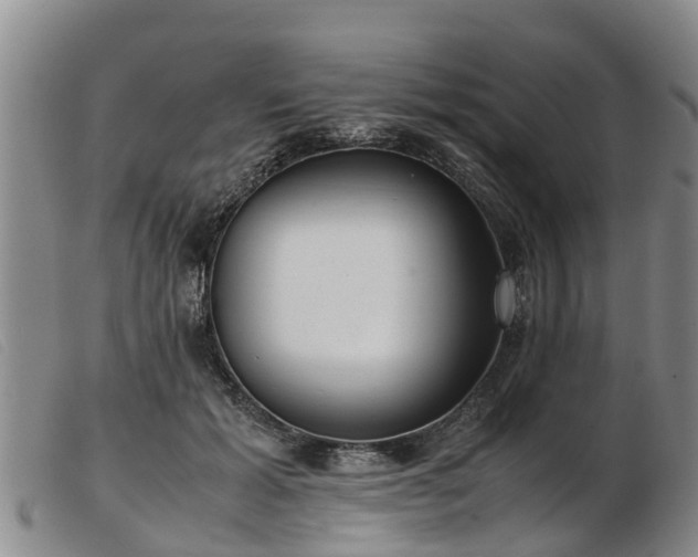 X0000103410605200809191547