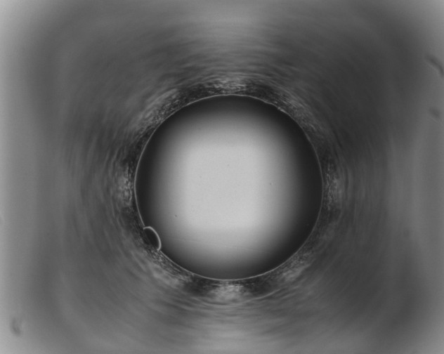 X0000103410609200809191547