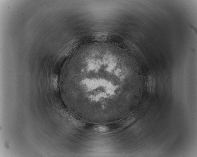 X0000103410610200809191547