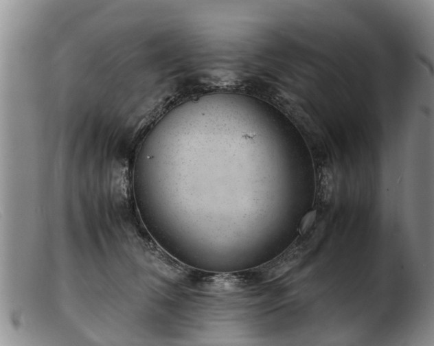 X0000103410612200809191547