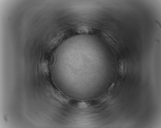 X0000103410616200809191547