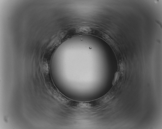 X0000103410617200809191547