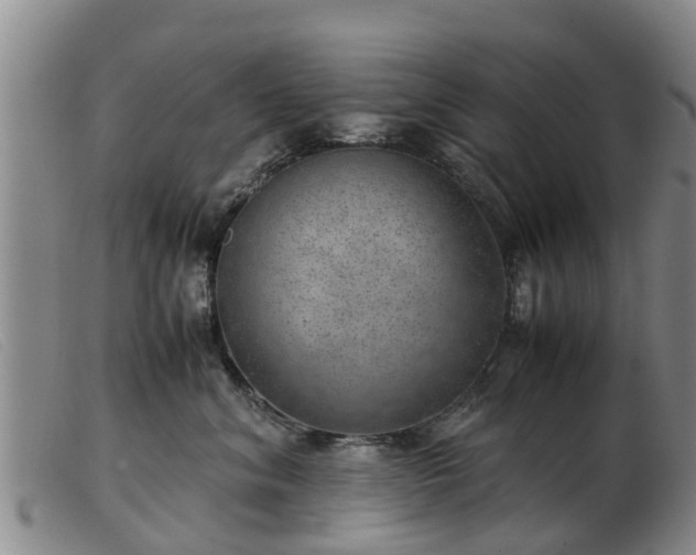 X0000103410620200809191547