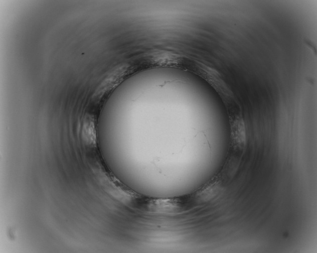 X0000103410622200809191547