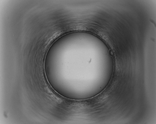 X0000103410625200809191546