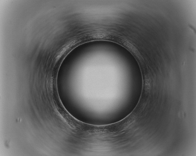 X0000103410626200809191546