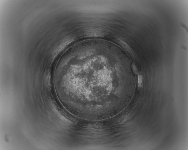 X0000103410627200809191546