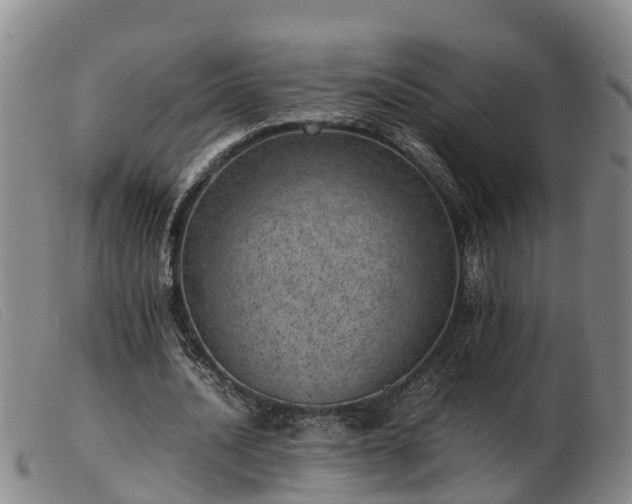 X0000103410628200809191546