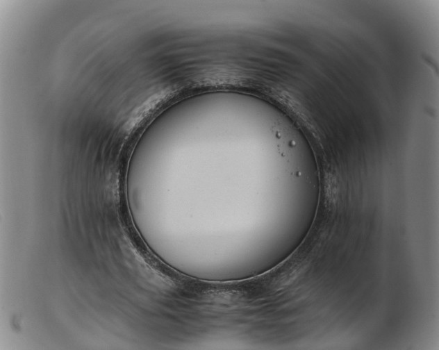 X0000103410629200809191546