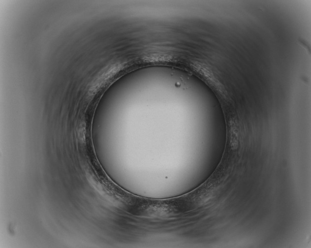 X0000103410631200809191546