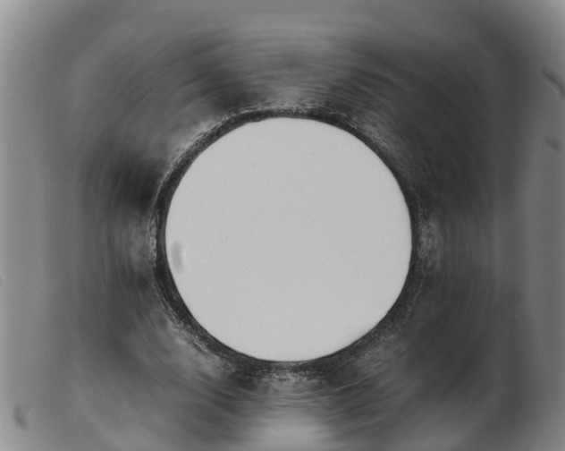 X0000103410632200809191546