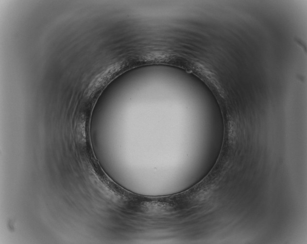 X0000103410633200809191546