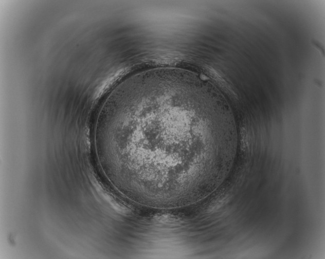 X0000103410634200809191546