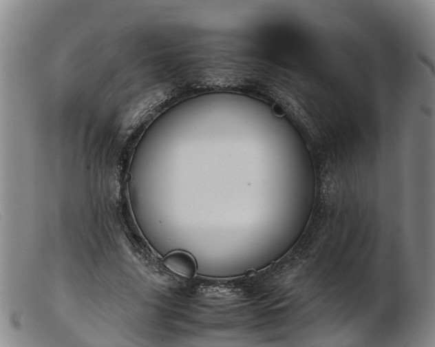 X0000103410635200809191546