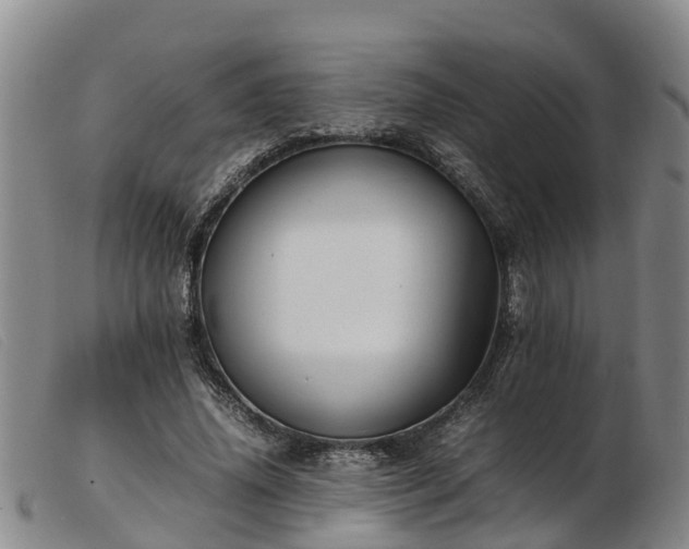 X0000103410636200809191546