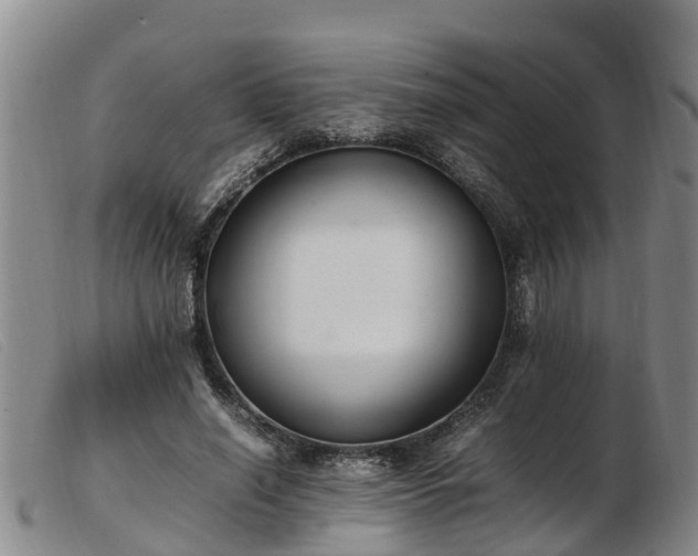 X0000103410638200809191546