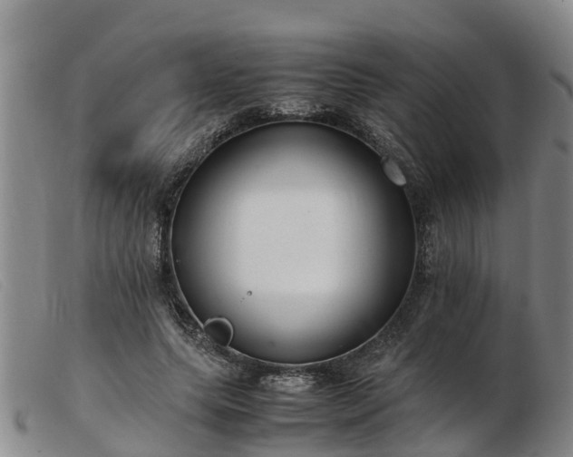 X0000103410639200809191546