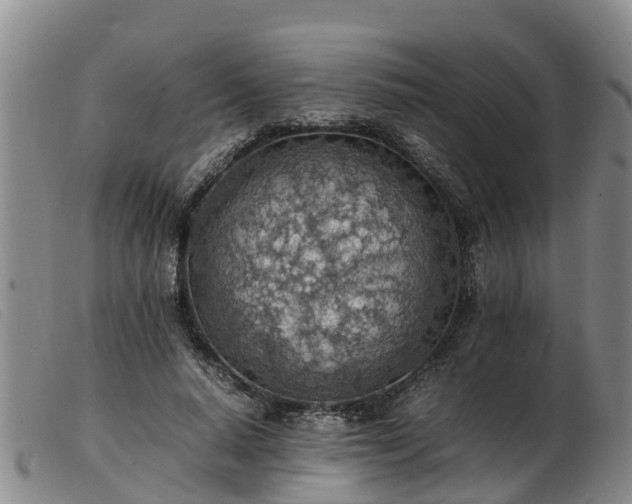 X0000103410640200809191546