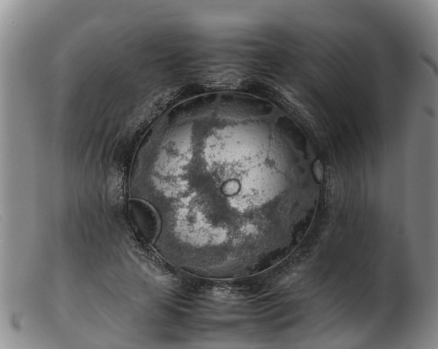 X0000103410641200809191546