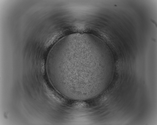 X0000103410642200809191546