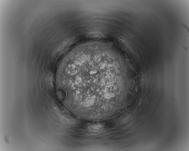 X0000103410643200809191546