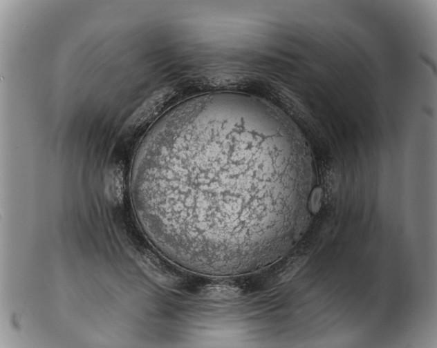 X0000103410644200809191546