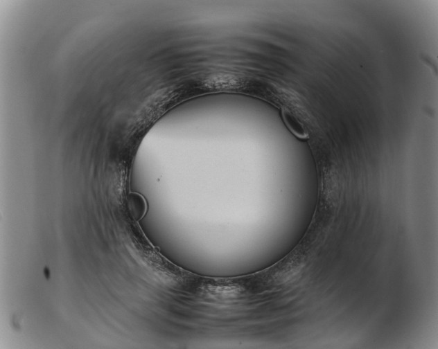 X0000103410645200809191546