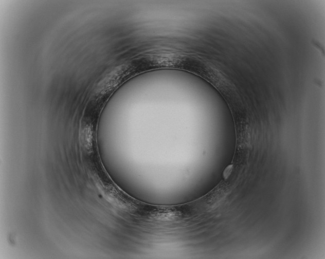 X0000103410646200809191546