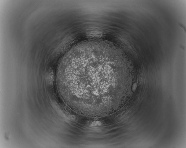 X0000103410647200809191546