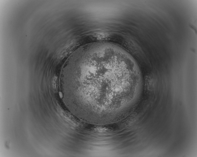 X0000103410650200809191546