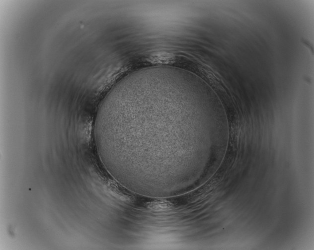 X0000103410652200809191546